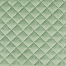 Load image into Gallery viewer, Paloma Silver