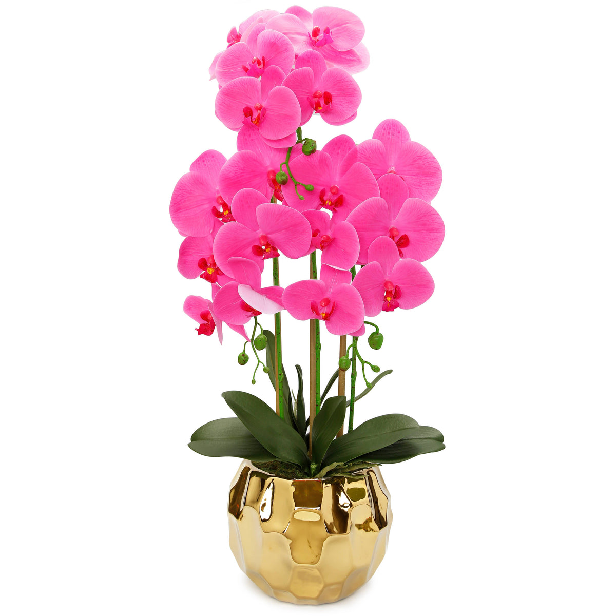 Pink Orchid plant in Round Gold Hammered vase