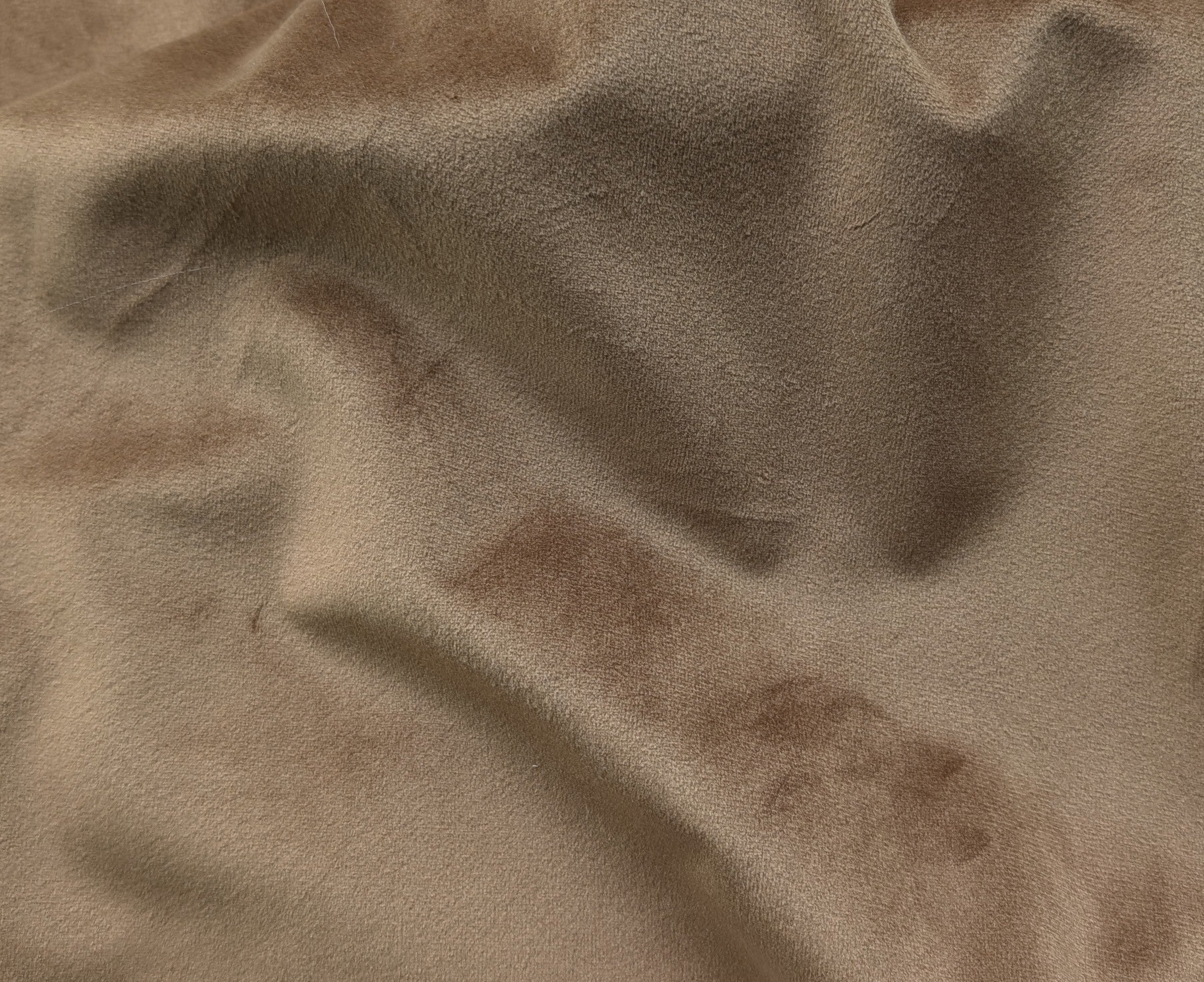 Café Velvet fabric 4