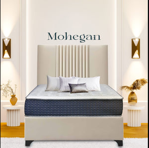 Mohegan Bed
