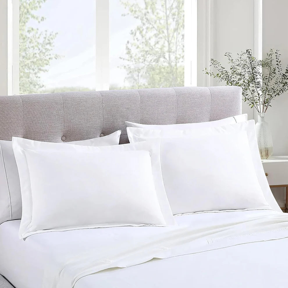 Majestic Solid Cotton pillowcases - White