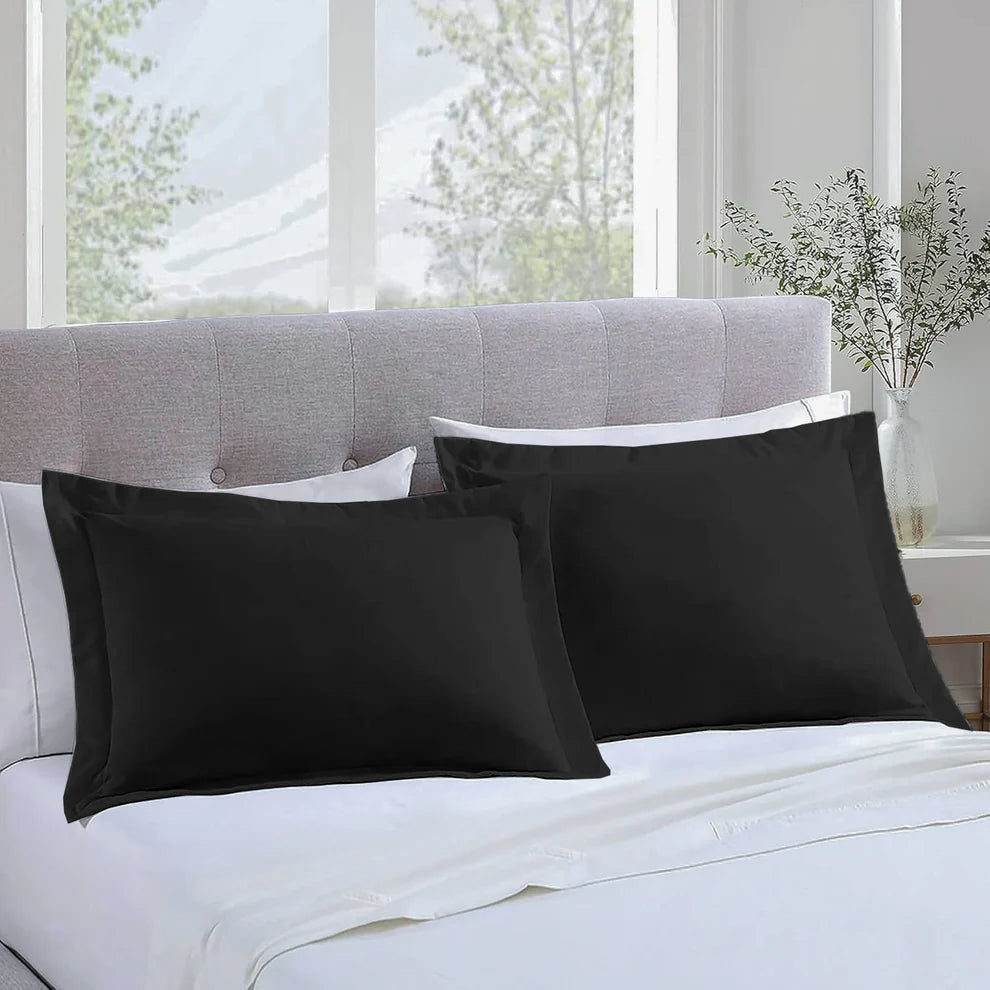 Majestic Solid Cotton pillowcases - Black