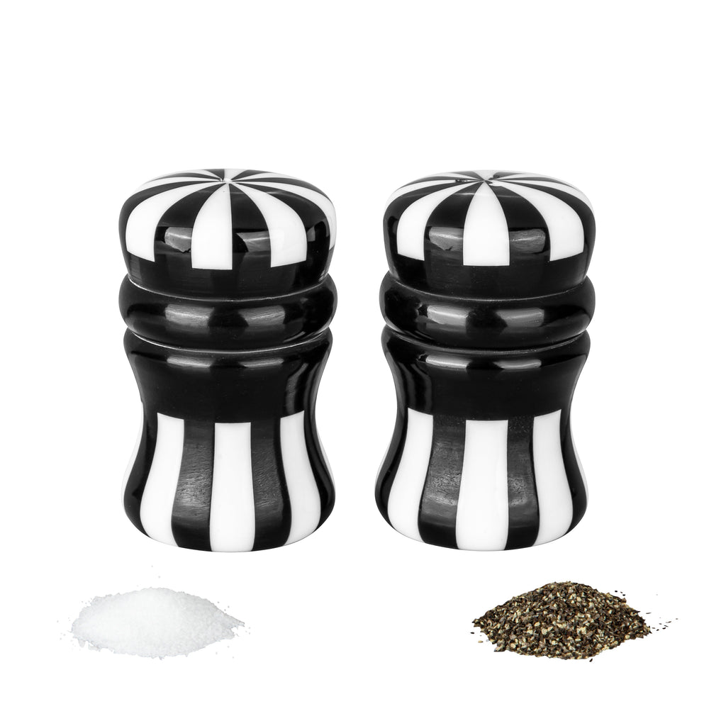 Black and White Salt and Pepper Shaker Set