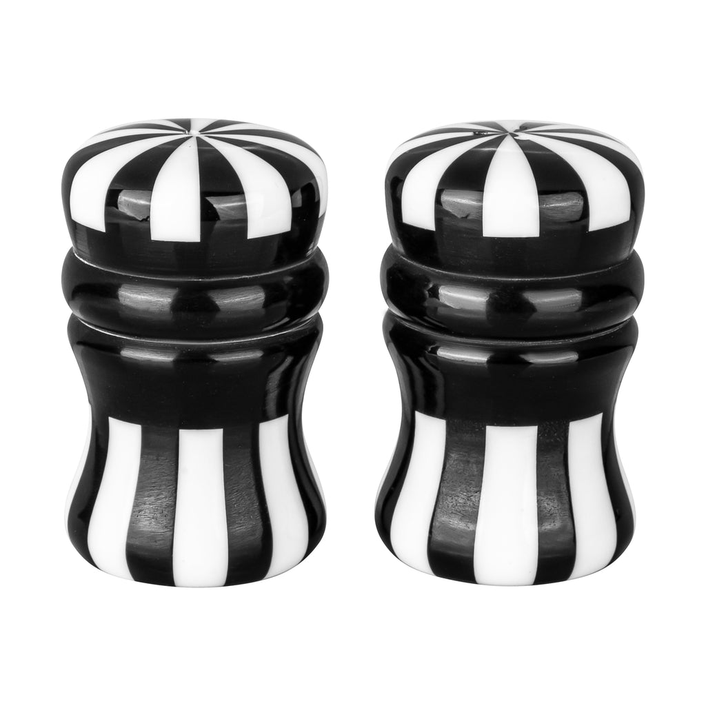 Black and White Salt and Pepper Shaker Set