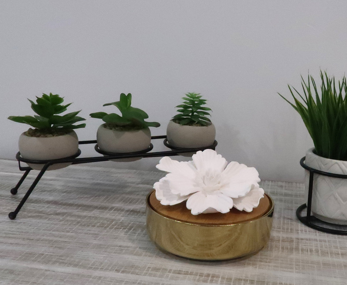 Glossy Gold Hemispheric shaped Diffuser with White Flower, "English Pear & Freesia" Scent
