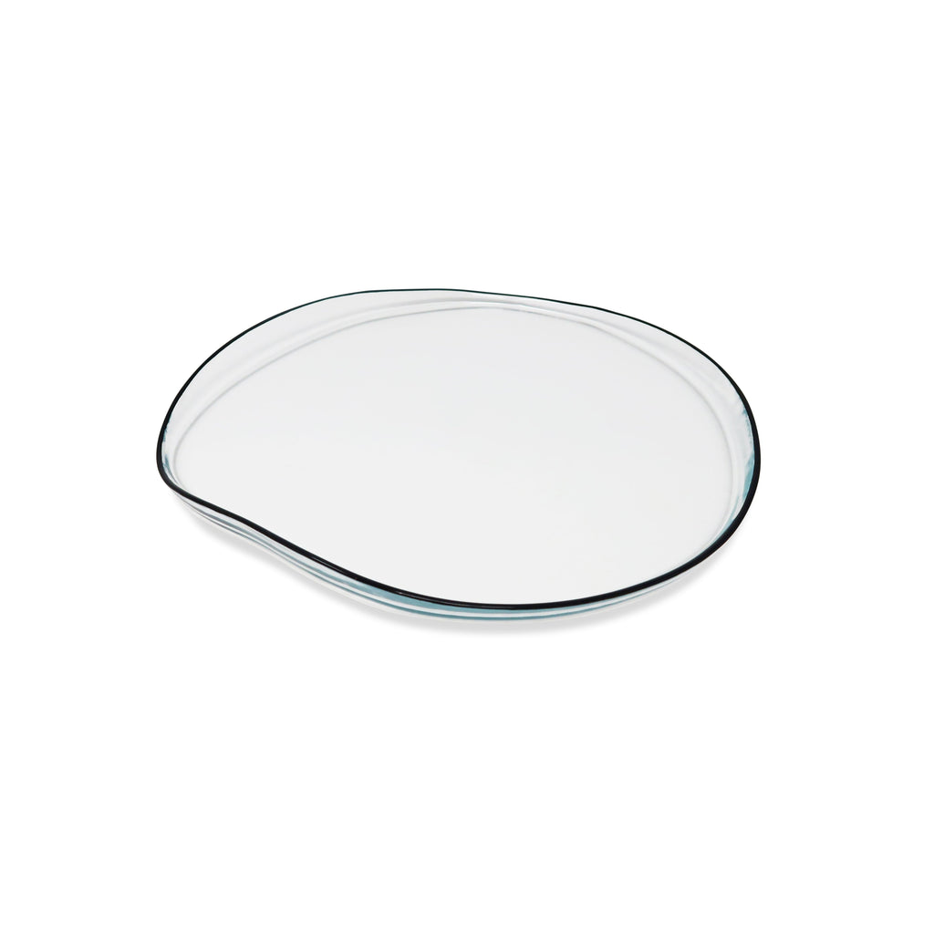 Set of 4 Organic Shaped Plates with Colored Wall