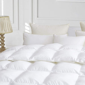 Tara Down Blend Comforter