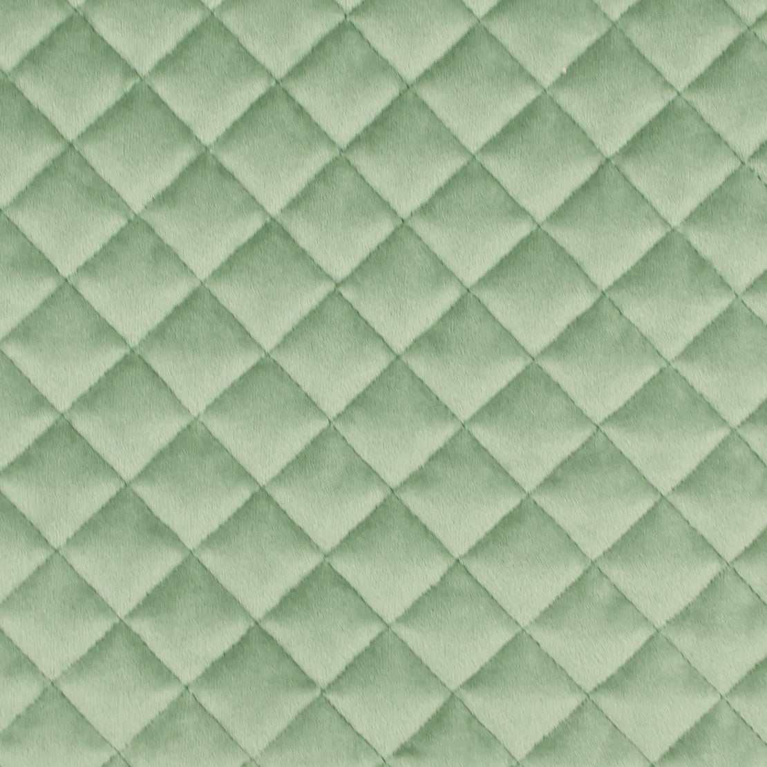 Paloma Lime Tablecloth