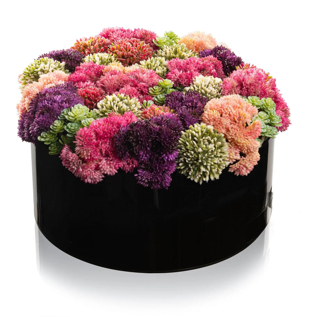 Succulent Pink Round Vase Bencher Set (Black) - Waterdale Collection