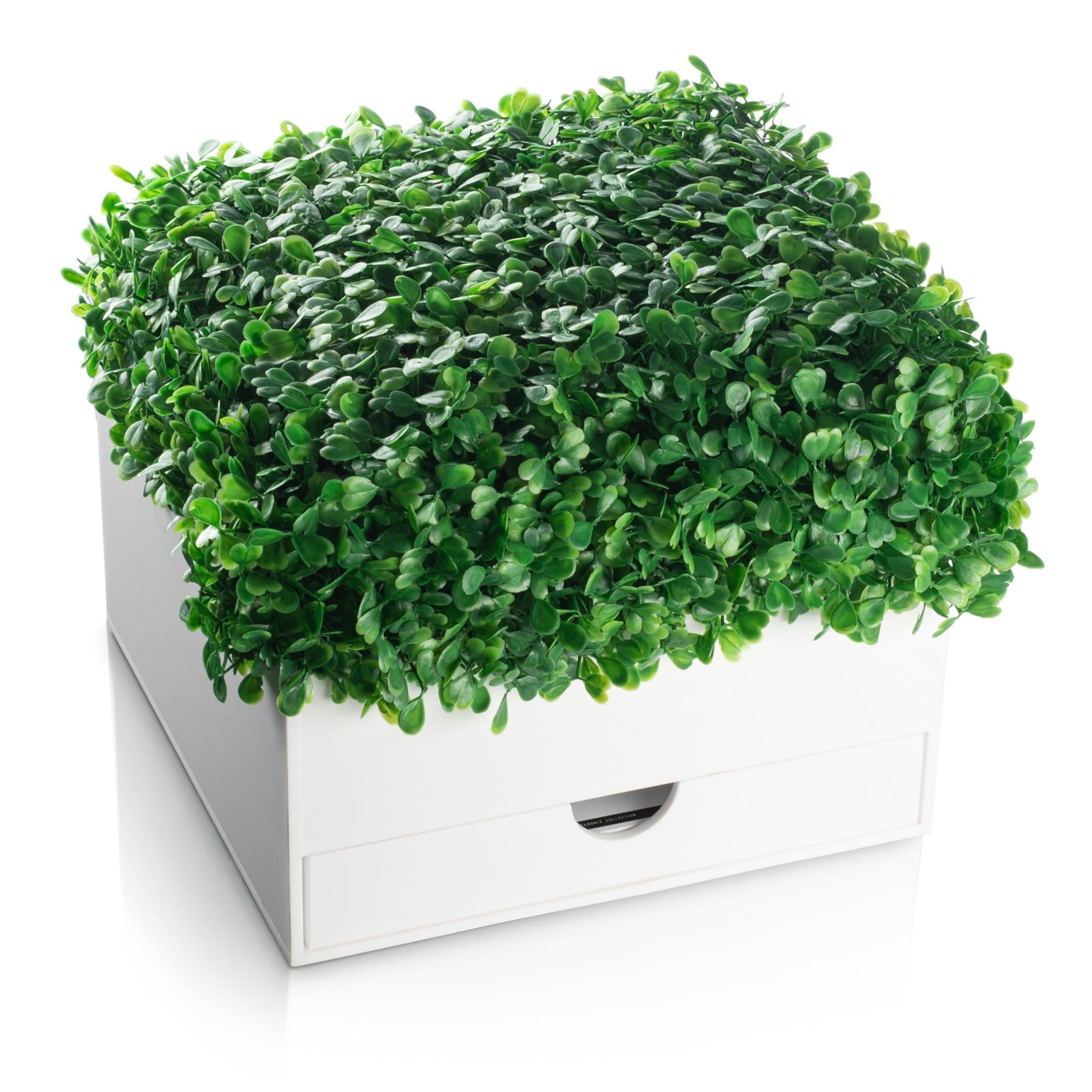 Boxwood Bencher Set - Waterdale Collection