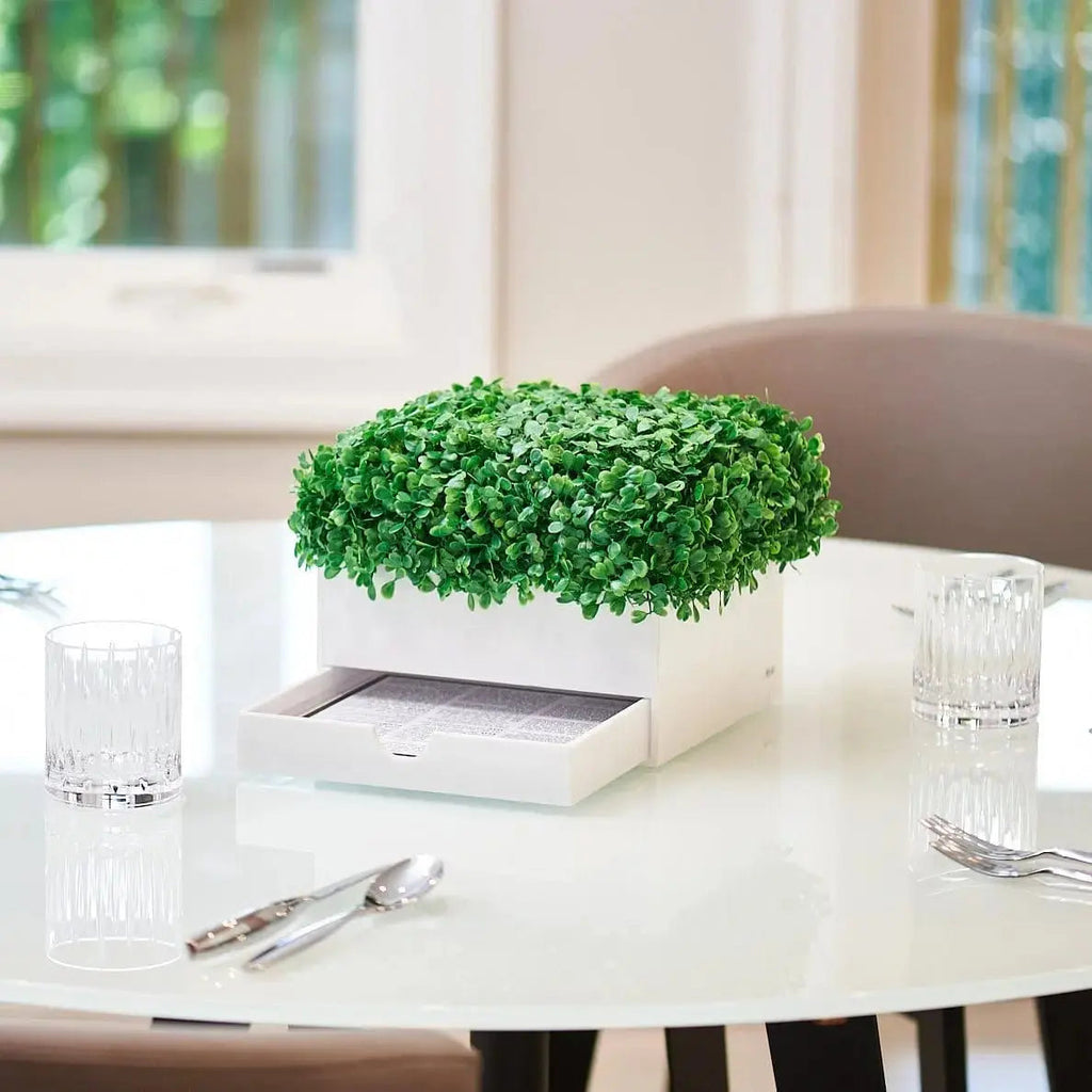 Boxwood Bencher Set with artificial green moss sphere on white base, displayed on round table with glassware and place setting