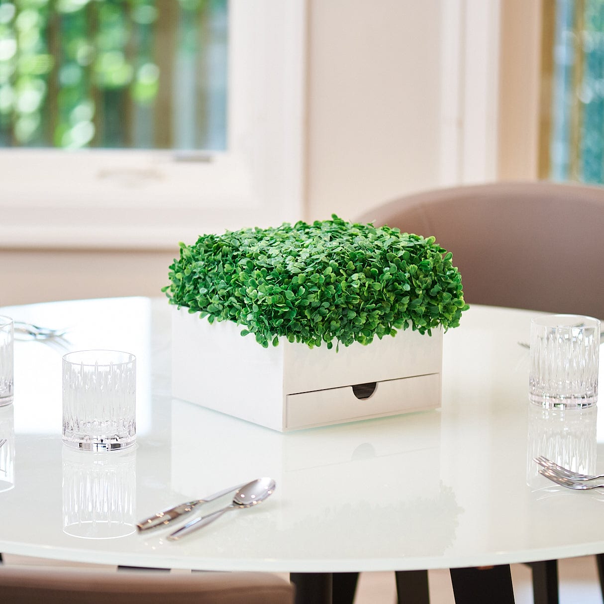 Boxwood Bencher Set - Waterdale Collection