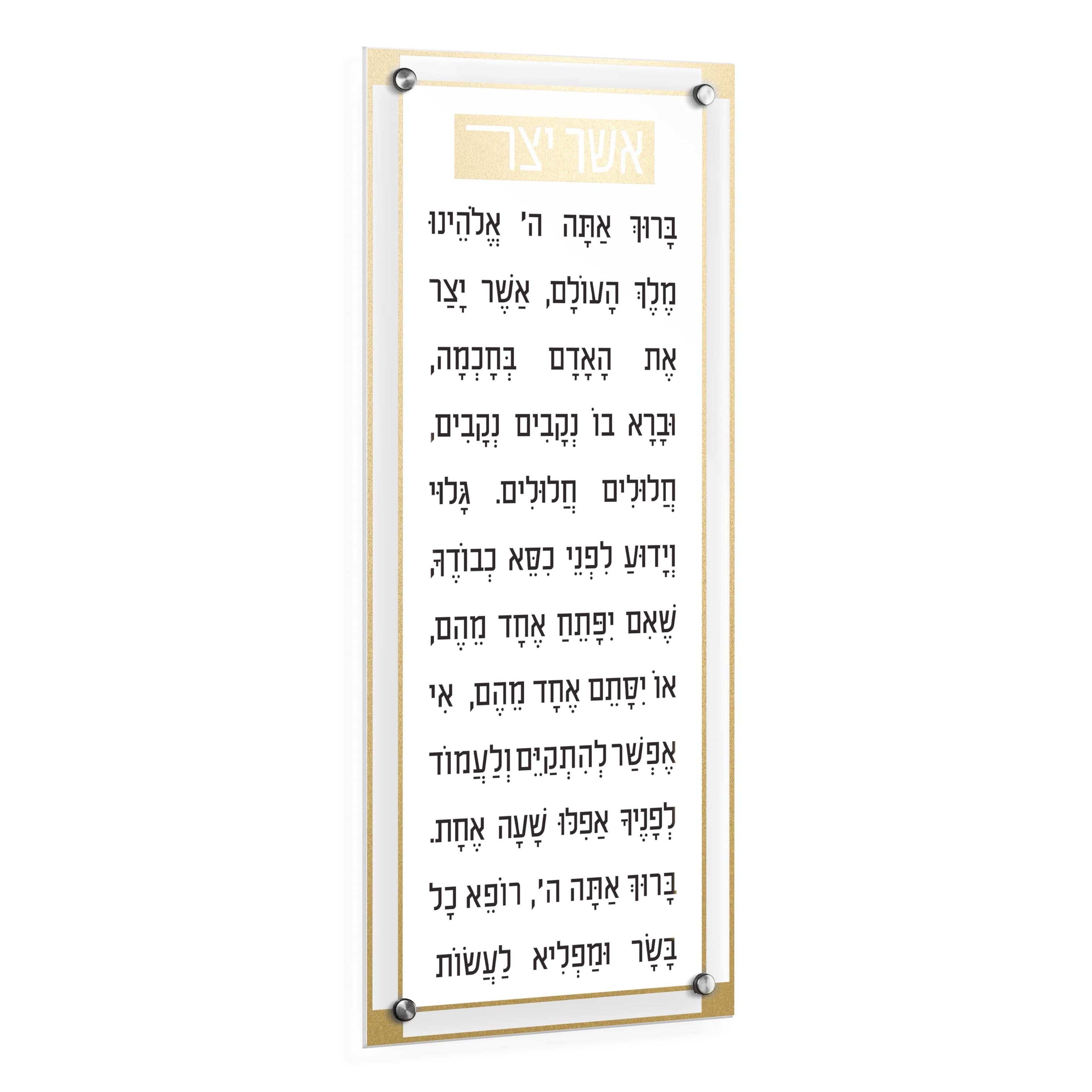 Classic 2.0 Basics Asher Yatzar