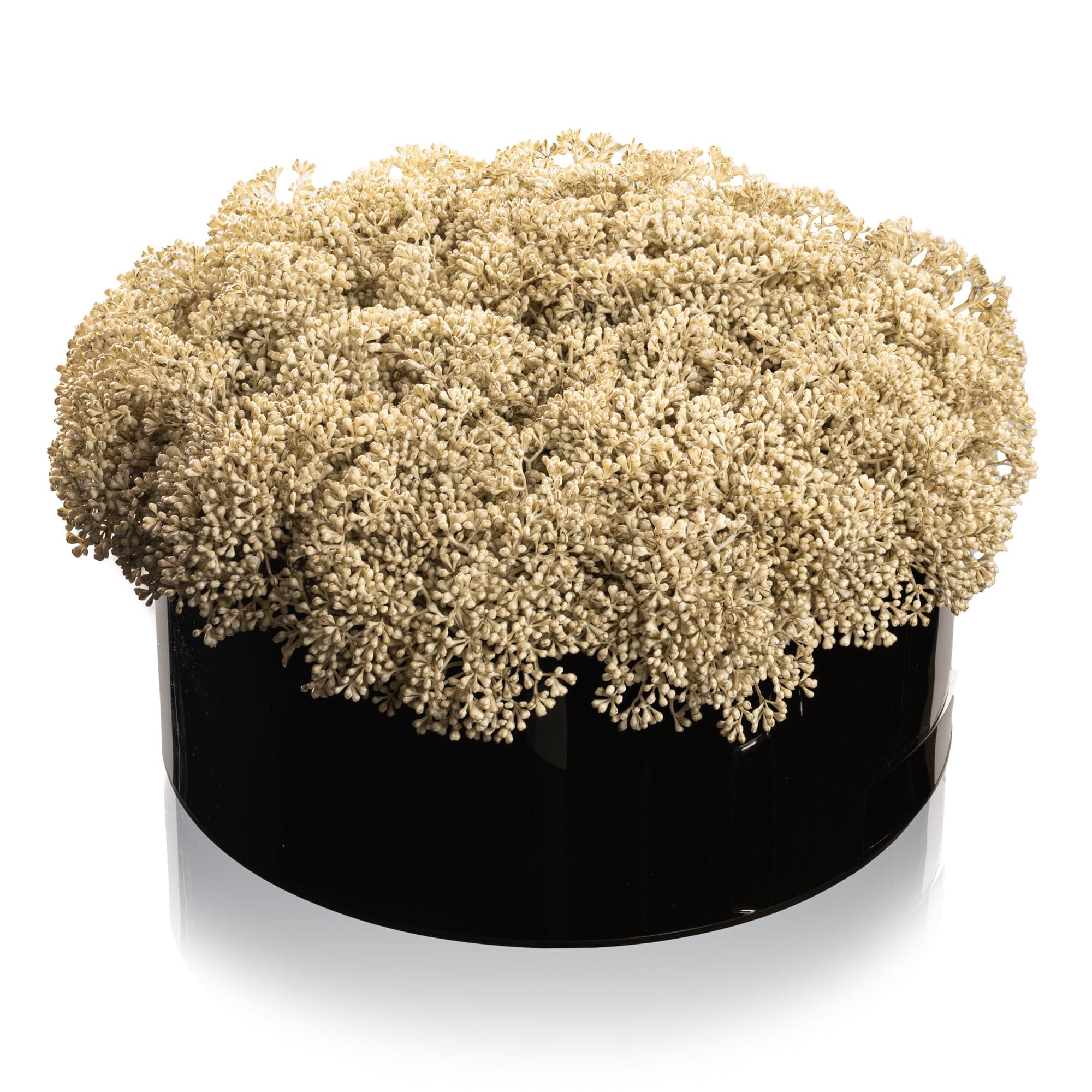 Greenery Round Vase Bencher Set  - Black
