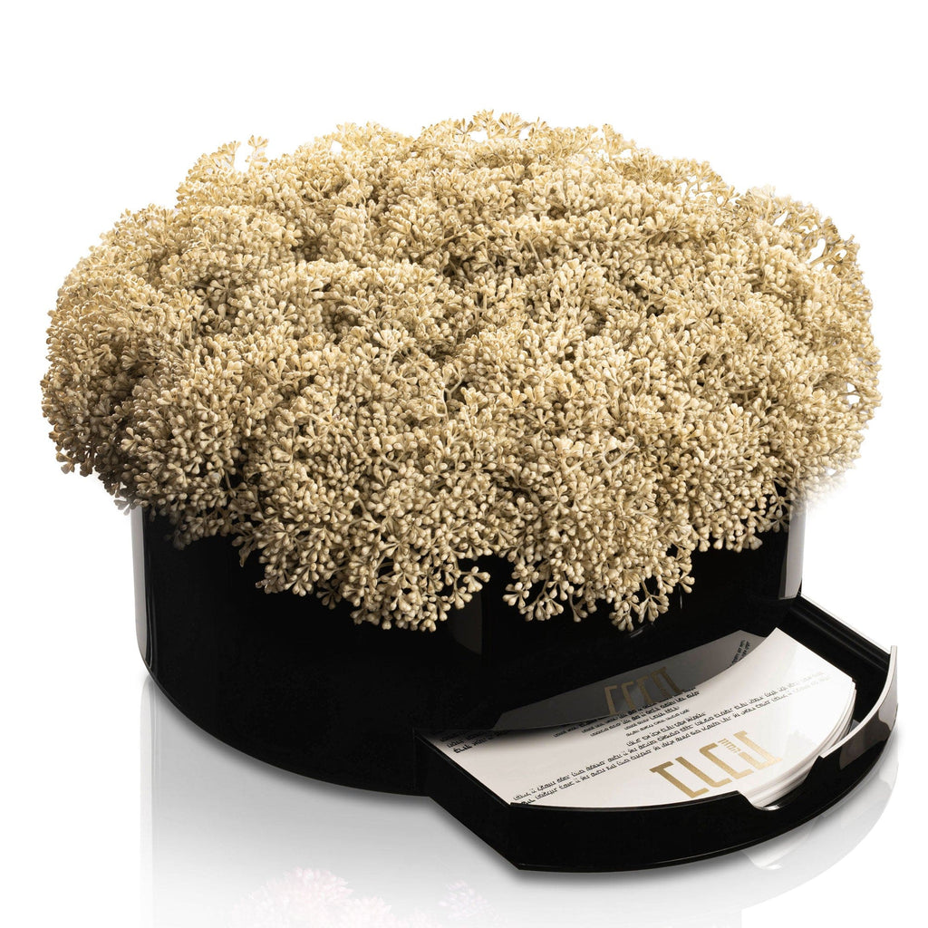 Greenery Round Vase Bencher Set  - Black