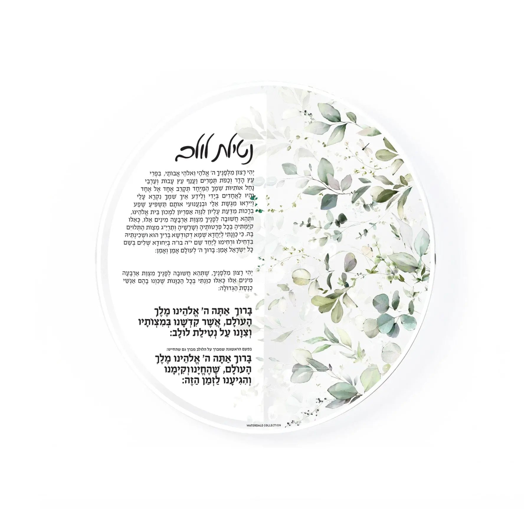 Leaf Sukkah Decoration Set by Waterdale Collection featuring watercolor botanical illustrations in green tones on white circular packaging, perfect for holiday decorating.