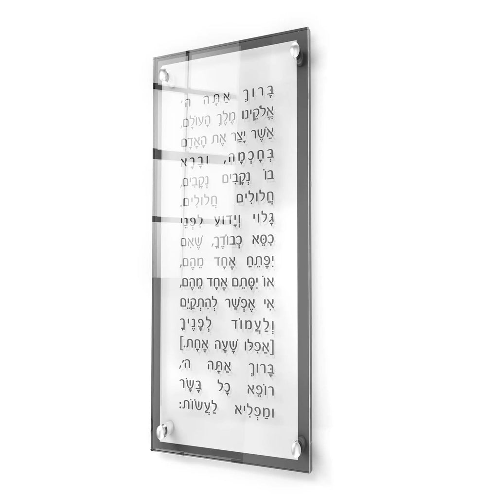 Modern Asher Yatzar - Waterdale Collection