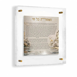 Nishmas Painted Frame Wall Art
