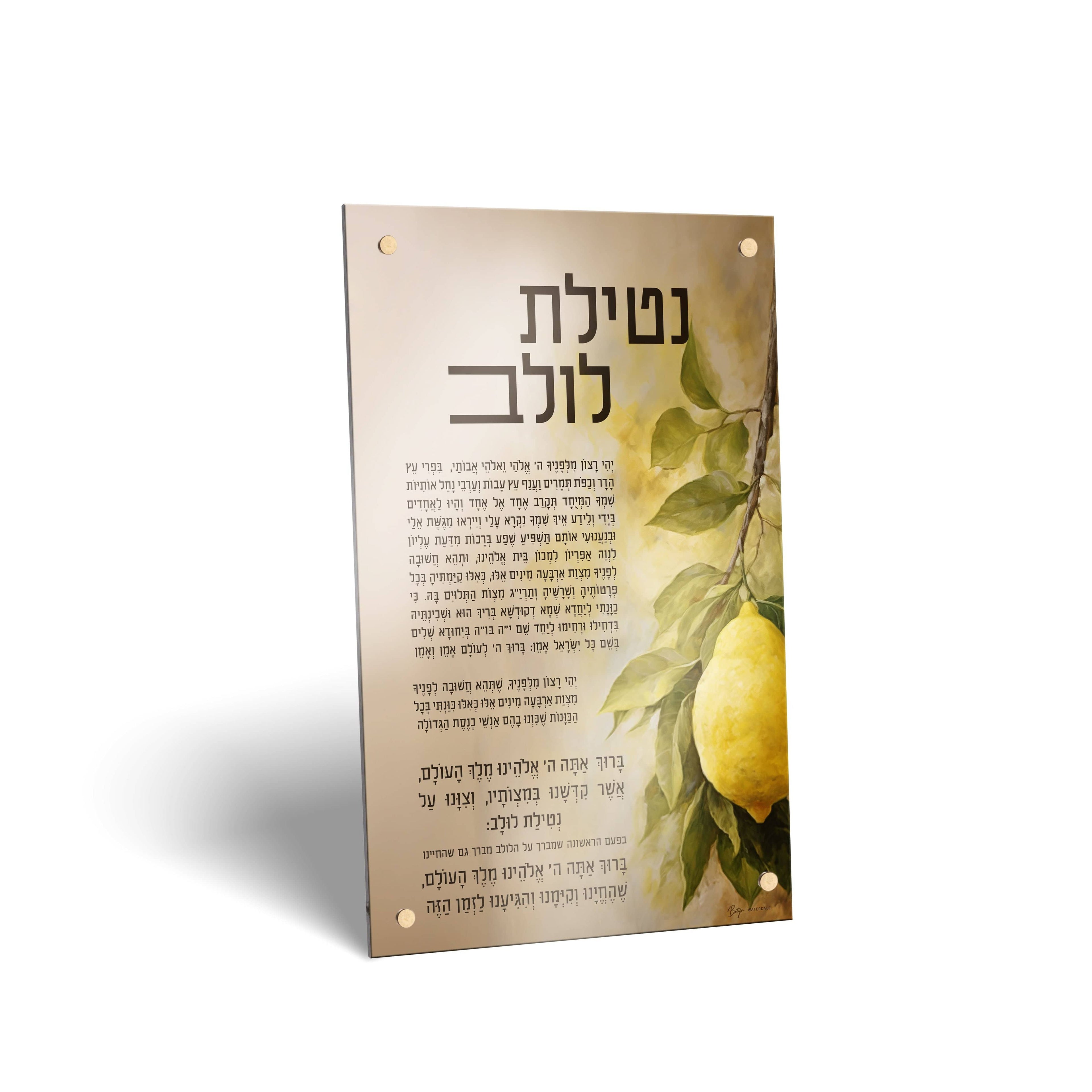Painted by Batya Sukkah Decorations