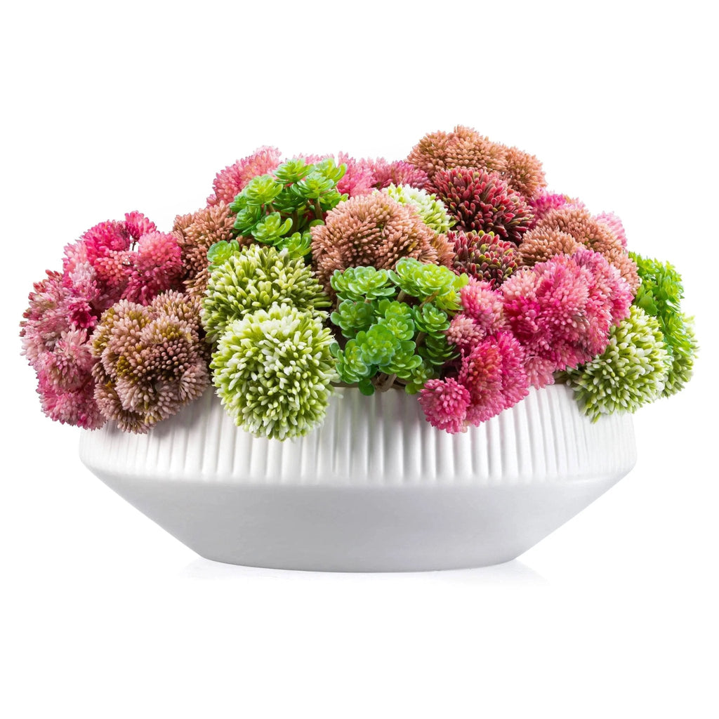 Succulent Pink White Flower Pot - Waterdale Collection