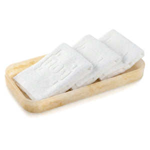 Resin Pesach Towel Tray Set
