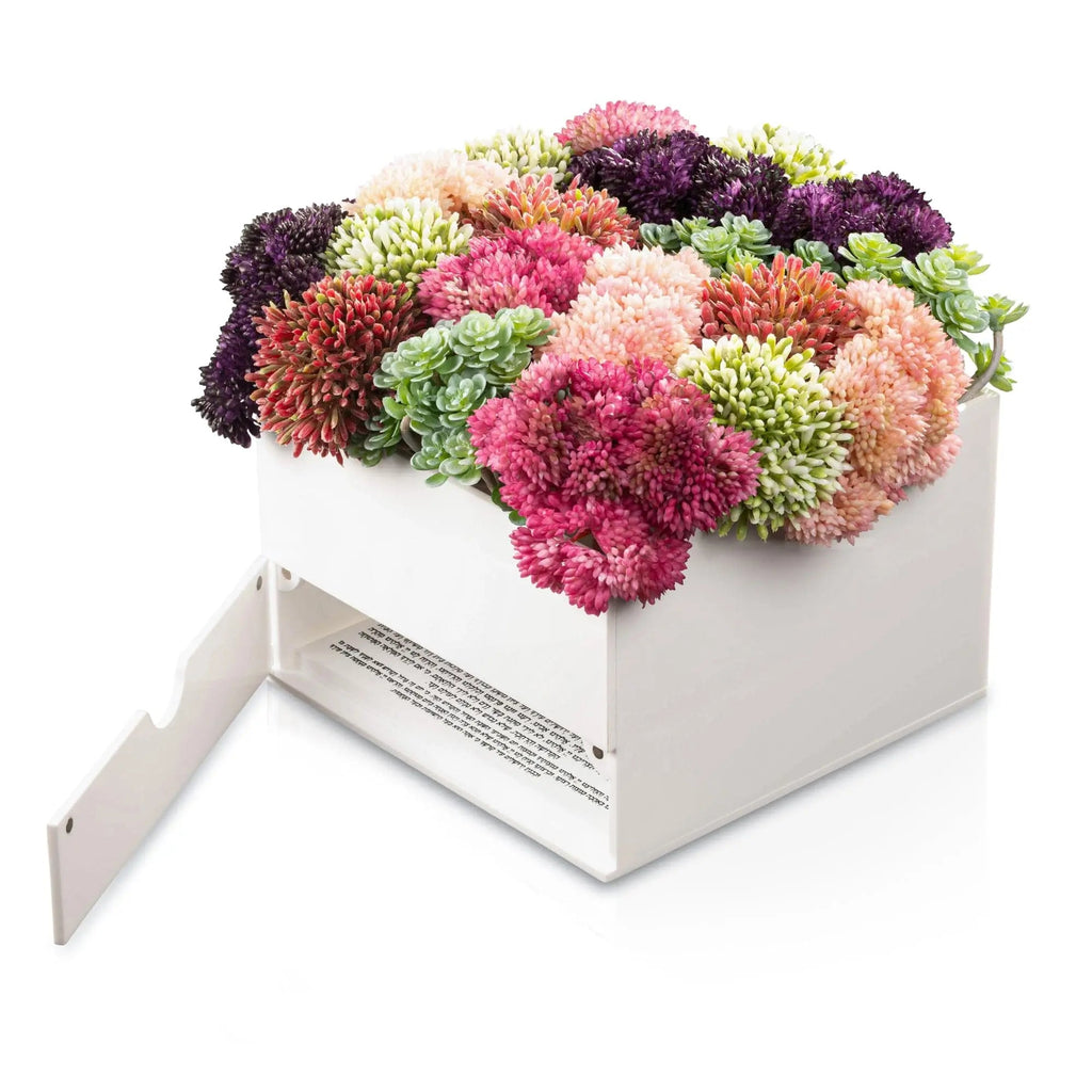 Succulent Bencher Set - Waterdale Collection
