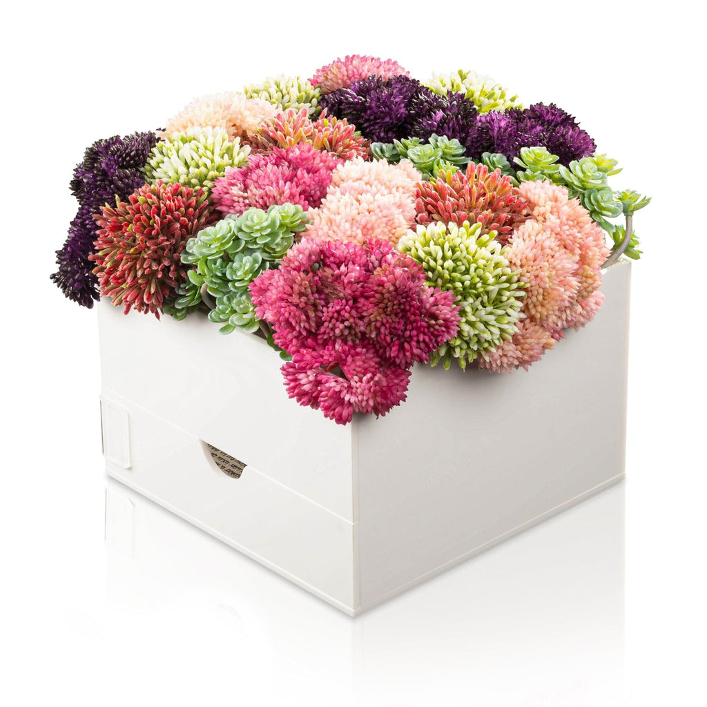 Small Succulent Pink Vase Bencher Set