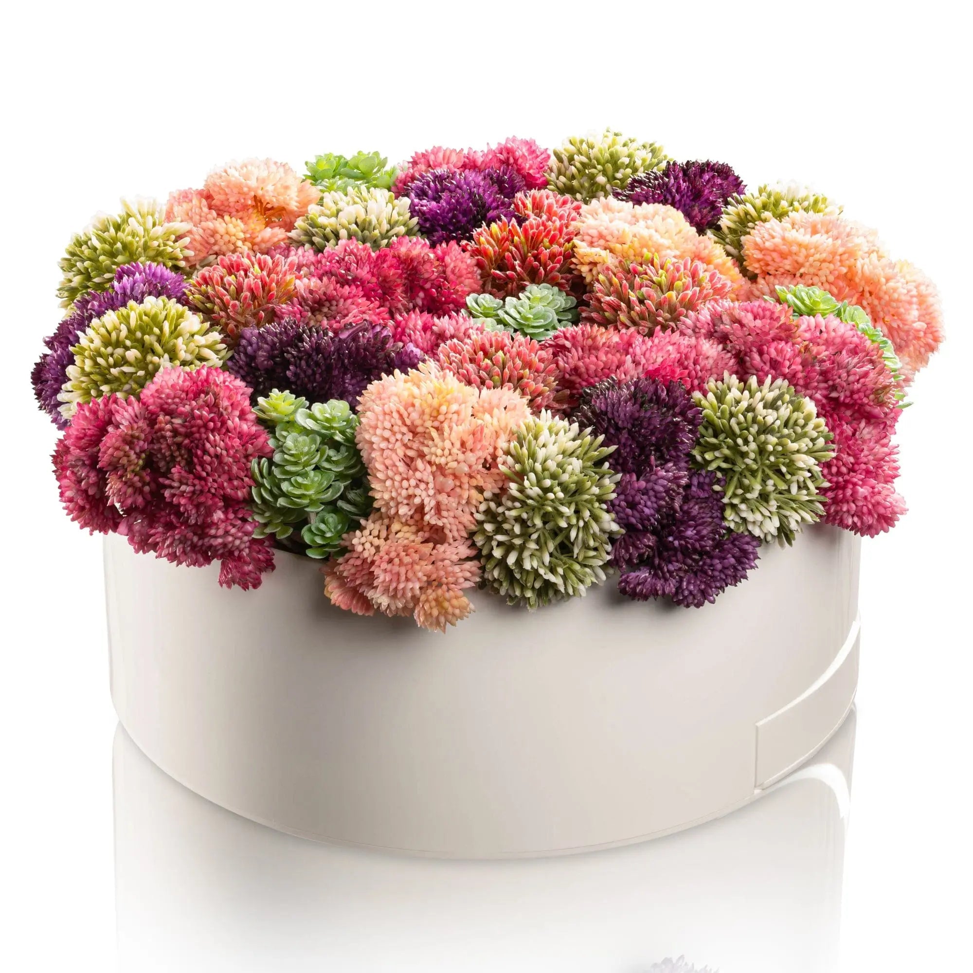 Succulent Pink Round Vase Bencher Set - Waterdale Collection