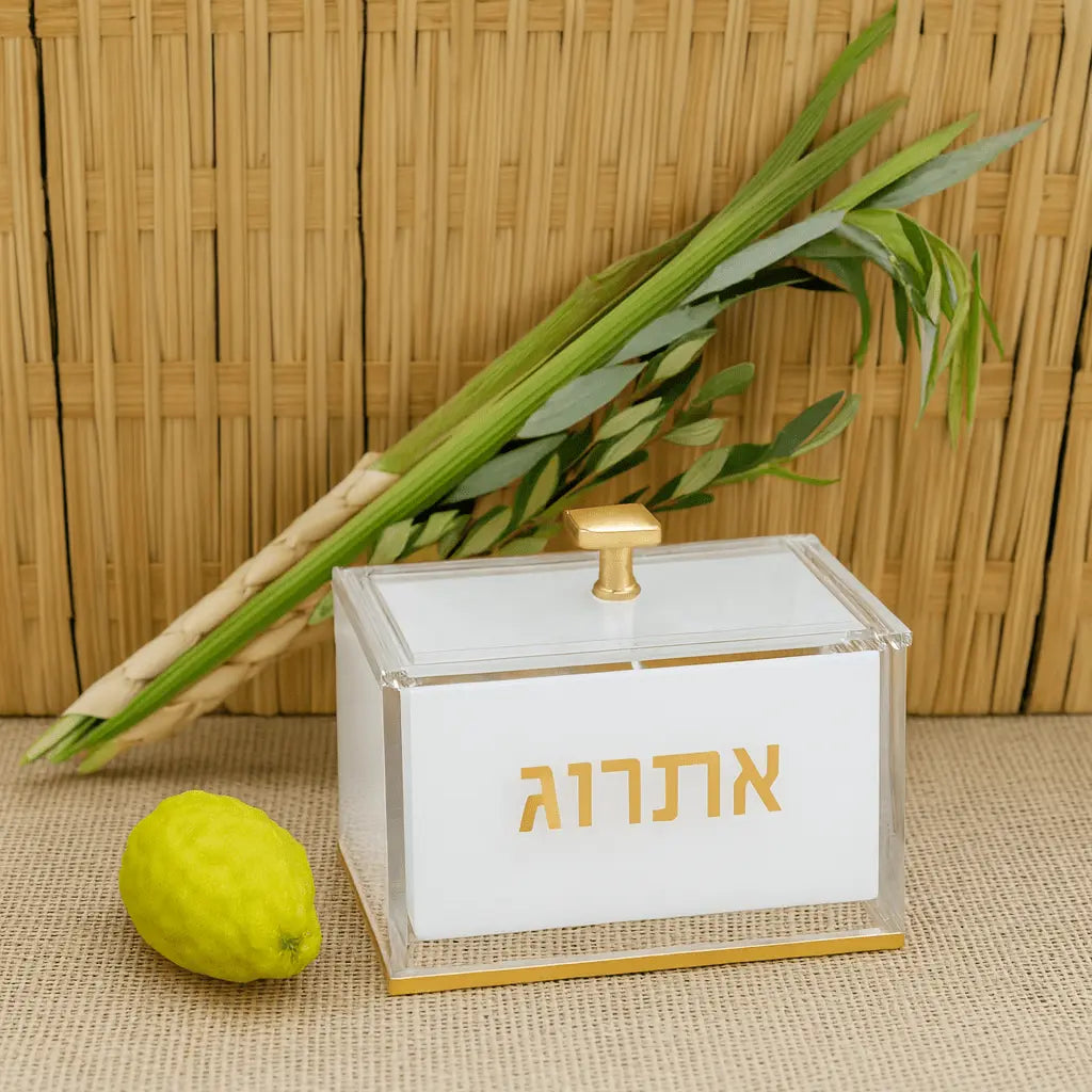 White suspended esrog box with gold Hebrew text, displayed with fresh lulav and etrog for Sukkot holiday decoration.