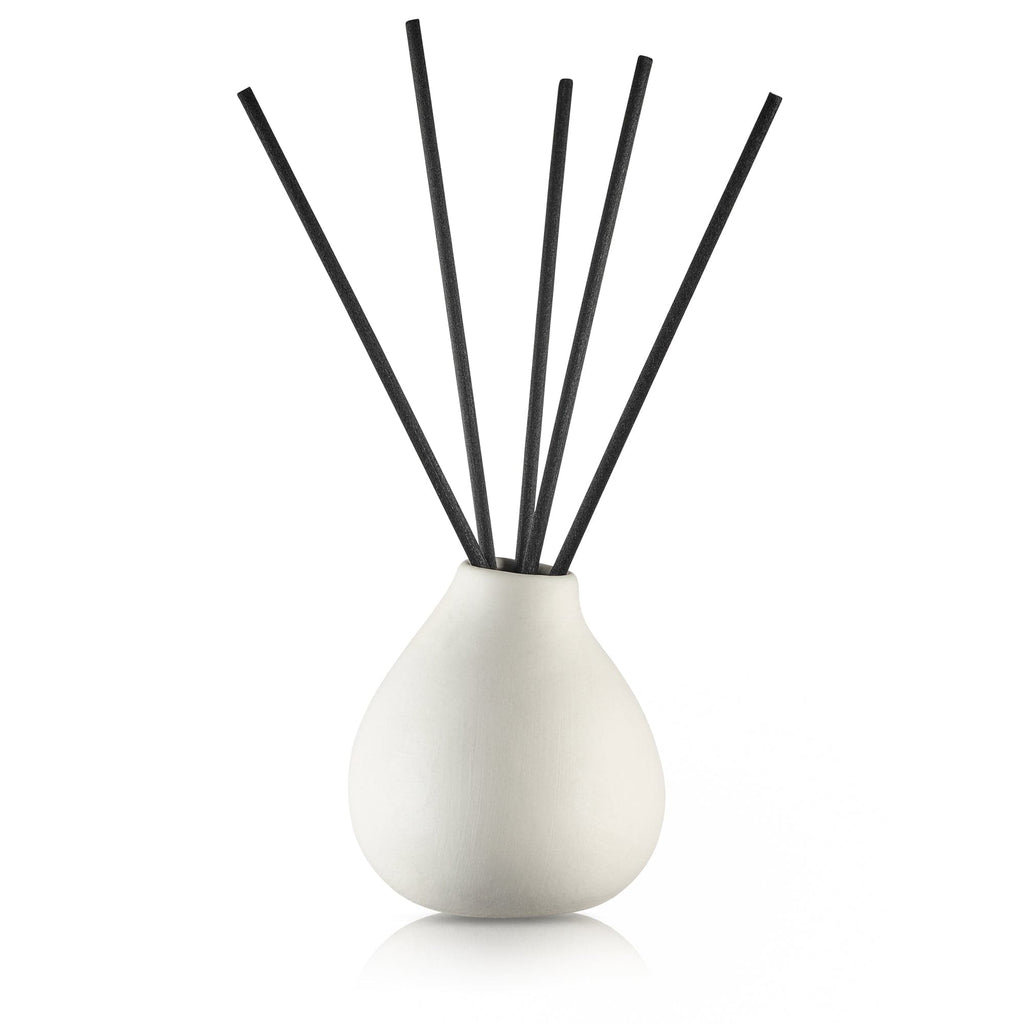 Minimalist clear glass teardrop aromatherapy vessel by Waterdale Collection, stylish reed diffuser for sophisticated Shabbat table settings and office decor.