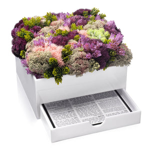 Succulent Bencher Set