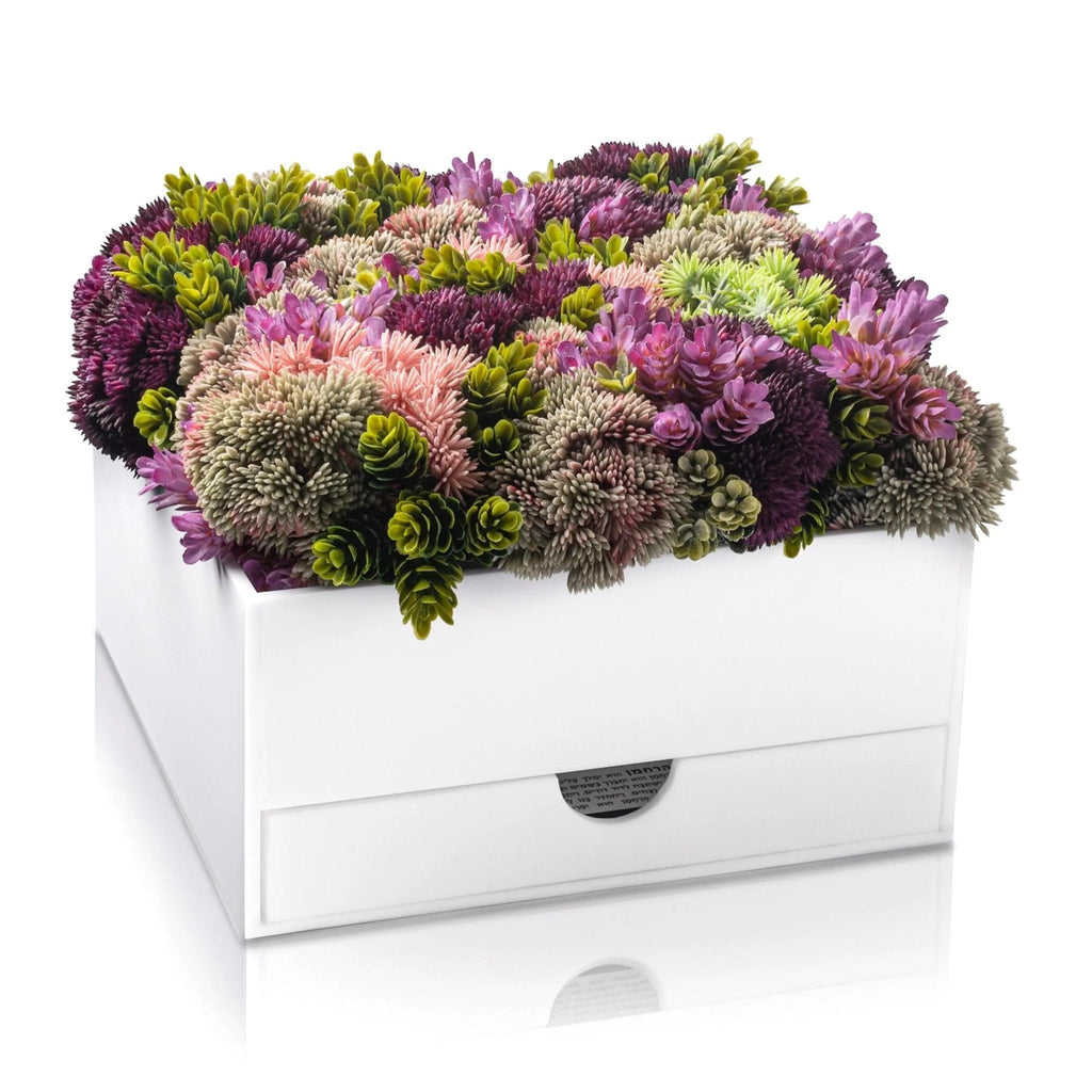 Succulent Bencher Set - Waterdale Collection